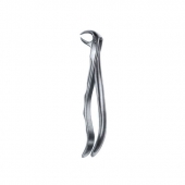 Extarcting Forceps 